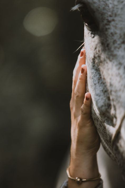 Check out the results of Chloe's photo shoot with her horse. We aimed for a dreamy look together with some creative shots. Learn more about how a photo shoot can go and how I set up the event. equine art | equine photography poses photo shoots | horse images | horse photography aesthetic Horse Picture Ideas Photo Shoots, Horse Lifestyle Photography, Poses With Horses Photography, Horse Details Photography, Horse Photography Poses Photo Shoots, Equine Portrait Photography, Equine Photography Poses Photo Shoots, Mini Horse Photo Shoot, Creative Horse Photography