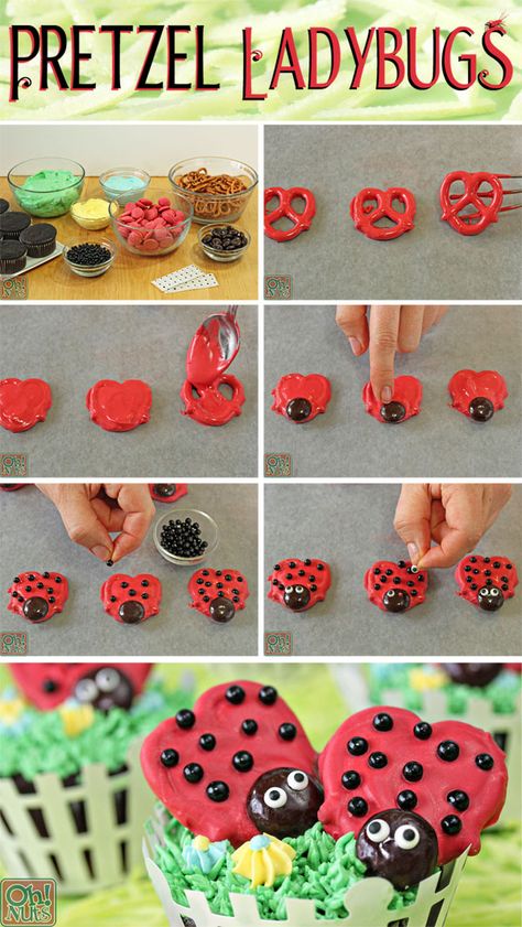 Ladybug Snacks Preschool, Spring Food Crafts For Kids, Ladybug Desserts, Ladybug Treats, Ladybug Pretzels, Ladybug Food, Pretzel Ideas, Ladybug Cupcakes, Pretzel Treats