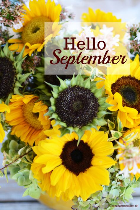 Hello September | ©homeiswheretheboatis.net #sunflowers Hello August Images, Hello September Images, September Images, August Images, Neuer Monat, Vincent Willem Van Gogh, Welcome September, Endless Summer Hydrangea, Find My Friends