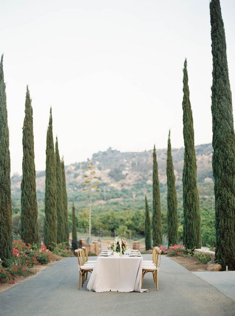 A Small Wedding Venue in San Diego is the Closest Thing to Italy | Sisti&Co. | Searching for a small wedding venue in San Diego that isn't quintessential California? We've found just the place for those dreaming of Italy in our most recent blog post. #sandiegowedding #sdweddingplanner #cordianowinery San Diego Beach Wedding, Socal Wedding Venues, Small Wedding Venues, Tuscan Inspired Wedding, Italian Inspired Wedding, Italian Wedding Venues, San Diego Wedding Venues, Southern California Wedding Venues, Bear Wedding