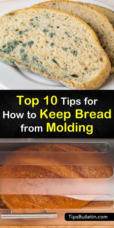 Find out the best ways to store bread to prevent it from developing mold, whether it's a whole loaf or sliced bread. At room temperature, try using a bread box or a sealed paper bag, or place your loaf of bread in the fridge or freezer. #bread #storage #mold #prevent Freezer Bread, Artesian Bread, Pullman Bread, Bread Dipping, Bread Holder, Bread Slicer, Vegetable Benefits, How To Store Bread, Bread Mold