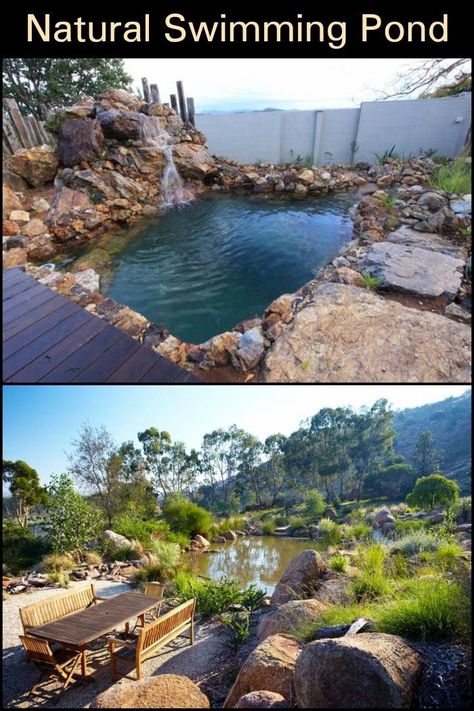 Take a look at these breath-taking natural swimming ponds. Don't they make you wish you have your own, too? Recreational Pond, Pretty Pool, Pond Dipping, Swimming Ponds, Dipping Pool, Natural Swimming Ponds, Diy Pond, Farm Plans, Diy Swimming Pool