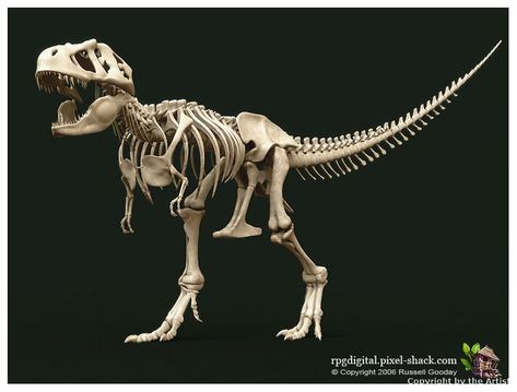 Trex Skeleton, T Rex Skeleton, Dinosaur Lesson, Dragon Skeleton, Skeleton Drawings, Animal Skeletons, Dinosaur Pictures, Pumpkin Pies, Sketching Ideas