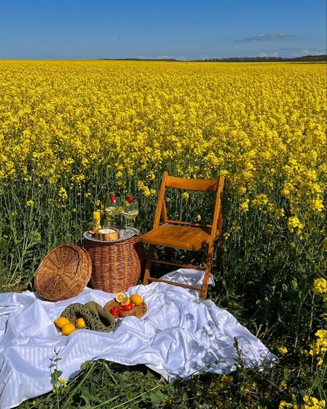 Yellow Flower Arrangements, Minimal Landscape, Picnic Decorations, Photography 101, Spring Aesthetic, Yellow Aesthetic, A Picnic, All Holidays, The Meadows