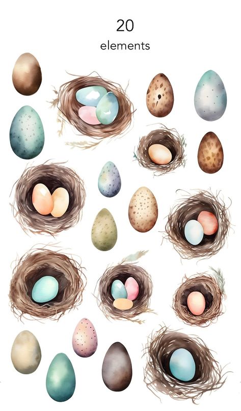 Bird nest clipart, easter eggs clip art set, spring nature, coloured eggs, egg illustrations, watercolor bird nests Watercolor Easter Eggs, Watercolour Bird, Bird Nests, Egg Nest, Spring Projects, Scrapbooking Stickers, Watercolor Ideas, Watercolor Illustrations, Spring Nature