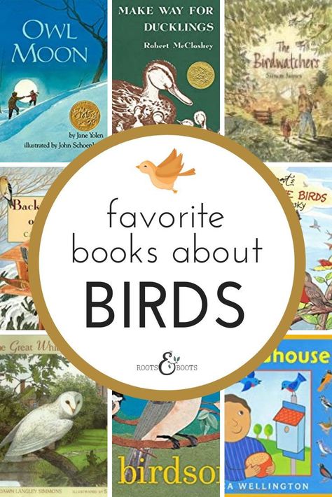 We’ve acquired a fantastic collection of children’s books about birds. The following are our very favorites, in no particular order. Bird Books For Toddlers, Books About Birds, Kids Chapter Books, Bird Study, Birds For Kids, Weekly Themes, Montessori Books, Non Toy Gifts, Eagle Pictures