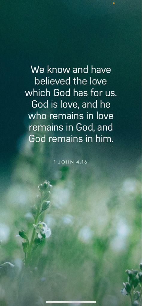 Born Quotes, 1 John 4 16, John 4 16, Matthew 5 44, Bible Verse Of The Day, God's Plans, King James Bible Verses, July Born, 1 John 4