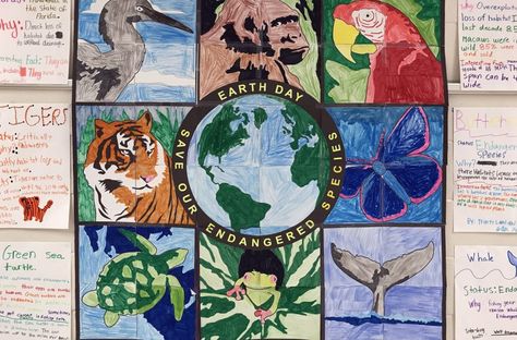 Student Endangered Animals Mural Endangered Species Project, Endangered Animals Project, Kunst For Barn, Endangered Species Art, Animal Art Projects, Animal Mural, Collaborative Art, Endangered Animals, Animal Projects