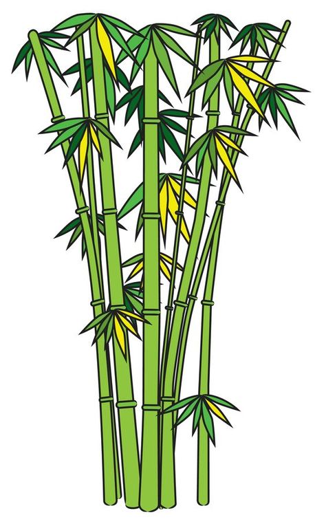 How to Draw Bamboo -- via wikiHow.com Bamboo Image, Bamboo Drawing, Painting Bamboo, Bamboo Landscape, Tree Drawings Pencil, Drawing Tutorials For Beginners, Bamboo Bathroom, Bamboo Art, Bamboo Crafts