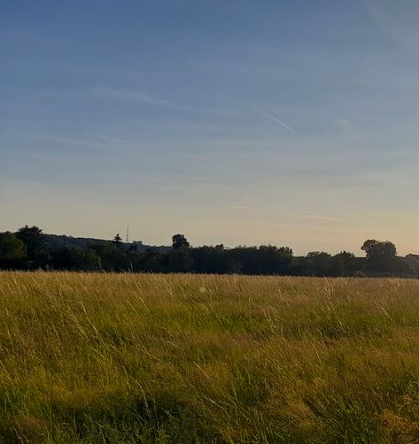 Open Field Aesthetic, Germany Aesthetic, Backgrounds Ideas, European Village, Birds Chirping, Video Project, Grassy Field, Video Shoot, Open Field