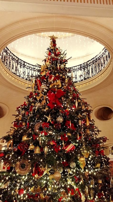 Royal Christmas Aesthetic, Extravagant Christmas Decor, Rich Christmas Aesthetic, Christmas Ballroom, Royal Christmas Tree, London Christmas Tree, Fancy Christmas Tree, London Xmas, Expensive Christmas