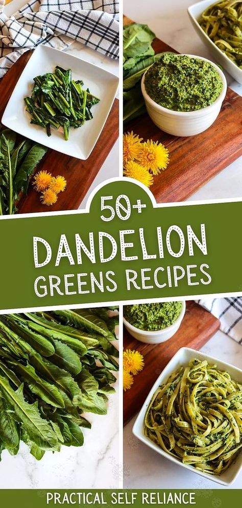 Unlock the potential of early spring with our collection of 50+ Dandelion Greens Recipes, a must-try in Dandelion Recipes. From dandelion pesto to simple sautés, these edible wild greens add flavor and nutrition to any meal. Perfect for foragers and health enthusiasts alike. Explore more on wild food foraging, spring seasonal foods, and healthy spring recipes at practicalselfreliance.com. Dandelion Greens Recipes, Dandelion Uses, Spring Foraging, Greens Recipes, Dandelion Benefits, Healthy Spring Recipes, Dandelion Greens, Food Foraging, Edible Flowers Recipes