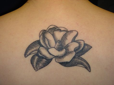 magnolia outline Magnolia Outline, Dogwood Tattoo, Sarah Tattoo, Shoulder Cap Tattoo, Magnolia Tattoo, Upper Back Tattoos, Flower Tattoo Meanings, Girls With Sleeve Tattoos, Flower Tattoo Back