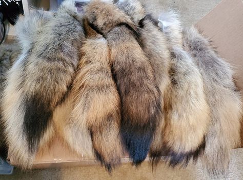 Coyote Tail, Kid Costume, Tail Keychain, Wolf Tail, Animal Tails, Wolf Stuff, Vulture Culture, Great Cat, Real Fur