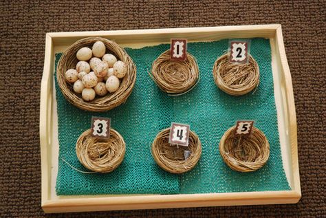 Counting eggs (",) Reggio Bird Provocation, Nest Activities Preschool, Preschool Bird Activities, Montessori Counting, Spring Sensory, Maths Activity, Bird Study, Birds Nests, Montessori Practical Life