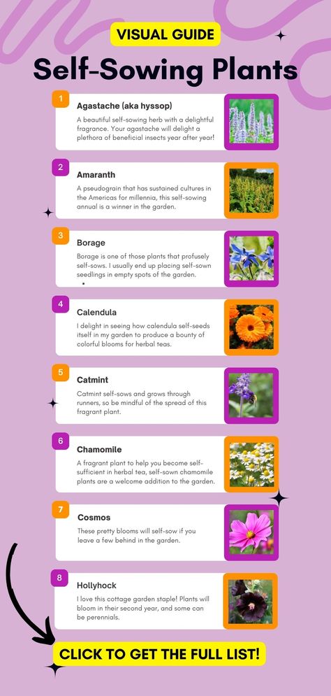 chaos gardening guide Chaos Gardening Flowers, Lazy Gardening, Chaos Gardening, Garden Notes, Bungalow Decor, Flower Growing, Garden Hacks, Growing Greens, Herbs And Flowers