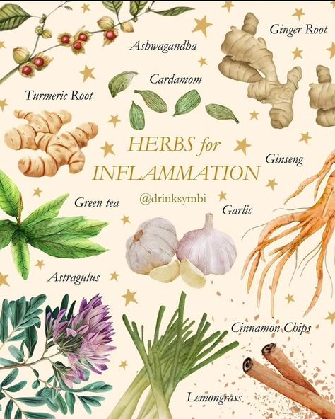 Health Care Drawing, Autumn Herbs, Baneful Herbs, Herbalist Aesthetic, Herbalism For Beginners, Care Drawing, Herbal Knowledge, Medicinal Herbs Remedies, Herb Life