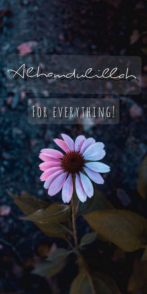 Allhumdulilallah Wallpaper, Al Hamdulillah Wallpaper, Alhamdulillah For Everything Wallpaper, Alhamdulillah Aesthetic Wallpaper, Alhamdulillah Quotes Islam, Alhamdulillah Wallpapers, Alhamdulillah Aesthetic, Album Quotes, Blessed Wallpaper