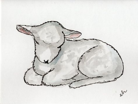 Wolf And Sheep Drawing, How To Draw A Lamb Step By Step, Sleeping Lamb Drawing, Shepherd And Sheep Drawing, How To Draw A Lamb, Baby Lamb Drawing, Sheep Drawing Simple, Lamb Doodle, How To Draw Sheep