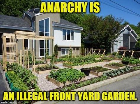 Agricultural Anarchy, Solar Punk, Guerrilla Gardening, Yard Kitchen, Front Lawn, Backyard Farming, Front Yard Garden, Edible Garden, Kitchen Garden