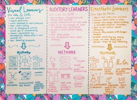 Know Your Learning Type Auditory Learners, Study Techniques, Study Methods, Visual Learning, Learning Style, College Study, School Related, Student Organization, Visual Learners