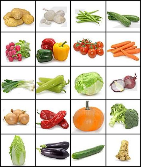 images of vegetables and their names | Can you name the vegetables by their picture? Quiz by when_flies_pig ... Images Of Vegetables, Name Of Vegetables, Vegetable Crafts, Kids Vegetables, Vegetable Pictures, Food Activities, Food Pyramid, Fruit And Veg, Kids Nutrition