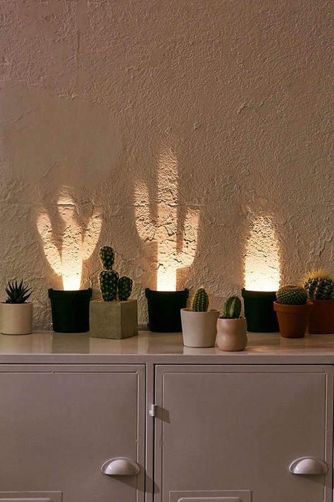 Pop-Up Cactus Light.  #affiliate #light #mood #setting #lighting #cactus #decor #cute #trendy #trending #trendingnow Cactus Light, نباتات منزلية, Apartment Small, Decoration Plante, Cactus Decor, Bedroom Vintage, Decor Guide, Retro Home Decor, Décor Diy