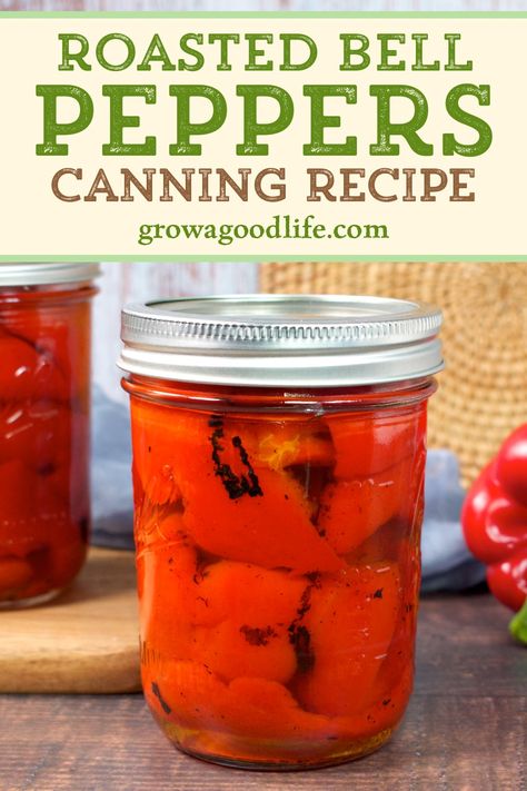 Preserving Sweet Peppers, Ways To Preserve Bell Peppers, How To Preserve Bell Peppers, Canned Roasted Peppers, How To Can Roasted Red Peppers, Bell Pepper Canning Recipes, Canning Bell Peppers Recipes, Preserving Bell Peppers, Canning Roasted Red Peppers