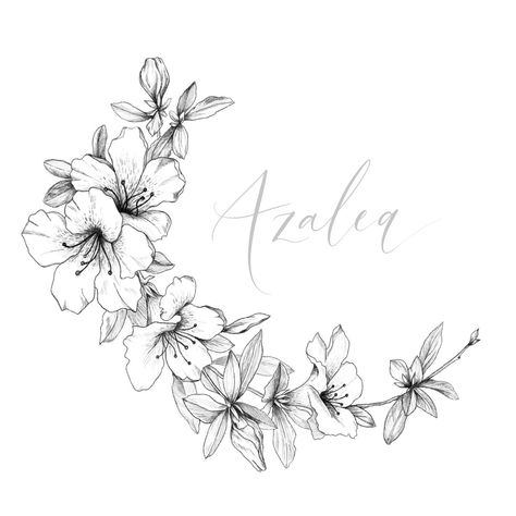 The third prompt for #flowertober is Azalea 🌺 I’ve been mostly doing line drawings lately as it suits stationery needs best but I wanted to go back to tradition here. ⭐️ I used the pencil brushes on Procreate to shade and define the flowers. ✨ I’m really happy with how they turned out! Follow along with us this month of #flowertober with @blusheddesign @tiny_sparrow_design and @kkhrysty_fine_art ✨ Brushes On Procreate, Azalea Flower, Flower Drawing Tutorials, Red Ink Tattoos, Flower Outline, Flower Art Drawing, Colouring Page, Floral Drawing, Flower Tattoo Designs