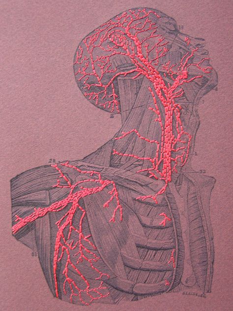 Illustration Kunst, Medical Art, Junji Ito, Red Thread, Paper Embroidery, A Level Art, Art And Illustration, Anatomy Art, Science Art