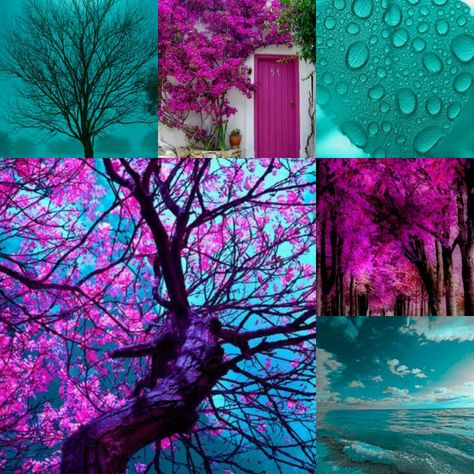 (Photos not mine) teal turquoise magenta pink purple nature trees aesthetic collage Pink Purple Aesthetic, Turquoise Aesthetic, Teal Color Palette, Black Color Palette, Purple Color Palettes, Color Schemes Colour Palettes, Color Magenta, Green Colour Palette, Turquoise And Purple