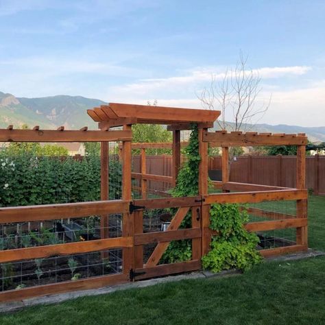 10 Inspiring Garden Fences | The Family Handyman Cedar Post Fence, Garden Enclosure Ideas, Cheap Garden Fencing, Fenced Garden, Garden Mesh, Diy Garden Fence, Vegetable Garden Design, Backyard Fences, Garden In The Woods