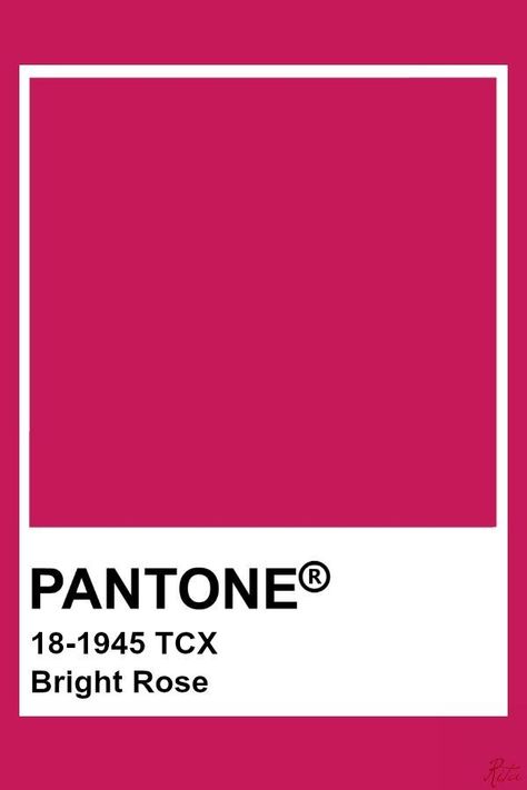 Pantone Colors Bright, Pantone Bright Colors, Bright Pink Pantone, Bright Pantone, Pantone Rose, Pink Pantone, Pantone Tcx, Pantone Colours, Pantone Color Chart