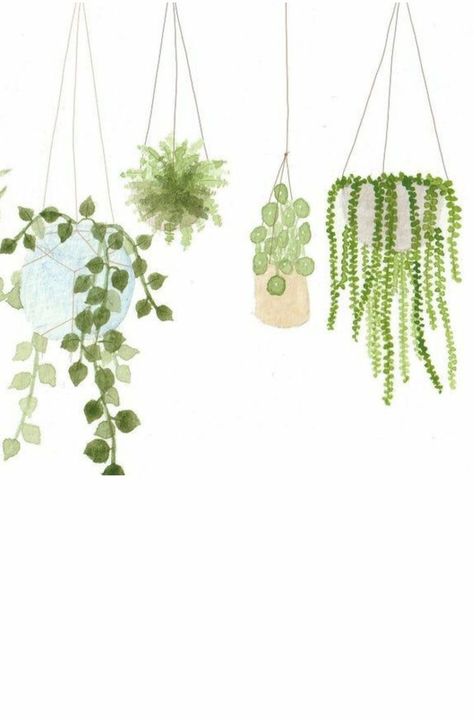 Hanging Plants Illustration, Kche Jwan, Plant Widget, Islam Stickers, Plantas Aesthetic, Gouache Study, Simple Wall Paintings, Book Clip Art, Plant Book