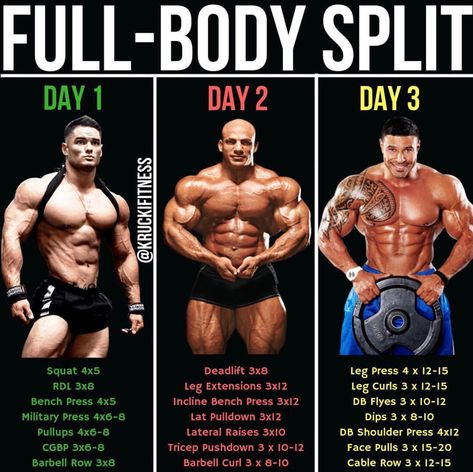 Full Body Split, Push Pull Workout, Pull Workout, Full Body Workout Plan, Best Workout Routine, Full Body Workout Routine, Workout Splits, Full Body Workouts, Weight Training Workouts