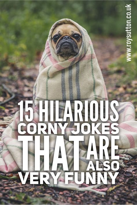 Monday Jokes, Lunch Jokes, Corny Puns, Best Dad Jokes, Funny Corny Jokes, Witty Jokes, Cheesy Jokes, Clean Funny Jokes, Corny Jokes