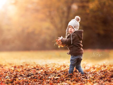 Autumn Toddler Photoshoot, Autumn Shoot, Autumn Photoshoot, Autumn Photos, Toddler Photoshoot, Fall Shoot, Autumn Love, Toddler Photos, Baby #5