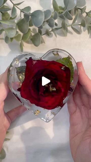 555 likes, 24 comments - craft.resin el May 10, 2024: "Discover the charm of @craft.resin as it turns dried roses into an everlasting heart-shaped gem 🥺 Known for its durability and glossy finish, Craft Resin ensures my floral artistry is preserved with elegance. It’s water-resistant and offers excellent chemical resistance, making each creation a durable masterpiece. Join me in this artful journey with Craft Resin, where beauty is eternal 🌹✨ Use my code LJP20 to save 20% in the craft-resin. Rose Preserved In Resin, Rose Preservation, Dried Roses, Craft Resin, Rose Art, Resin Flowers, How To Preserve Flowers, Flowers Diy, Resin Diy