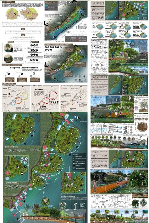 Landscape Board Presentation, Landscape Presentation Board, Mangrove Park, Rehabilitation Center Architecture, Landscape Architecture Presentation, Landscape Study, Landscape Architecture Graphics, 보고서 디자인, Presentation Board Design