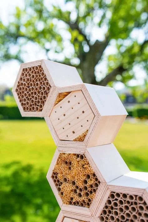 Build A Bug, Insect Box, Bee Houses, Diy Projects Plans, Bee Hotel, Insect Hotel, Mason Bees, Bug Hotel, Bee House