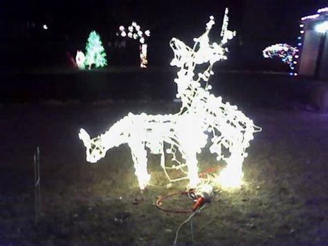 Deer House Xmas Lights, Funny Christmas Decorations, Christmas Lights Outside, Christmas Light Installation, Hanging Christmas Lights, Christmas House Lights, Christmas Light Displays, Lawn Art, Christmas Yard Decorations