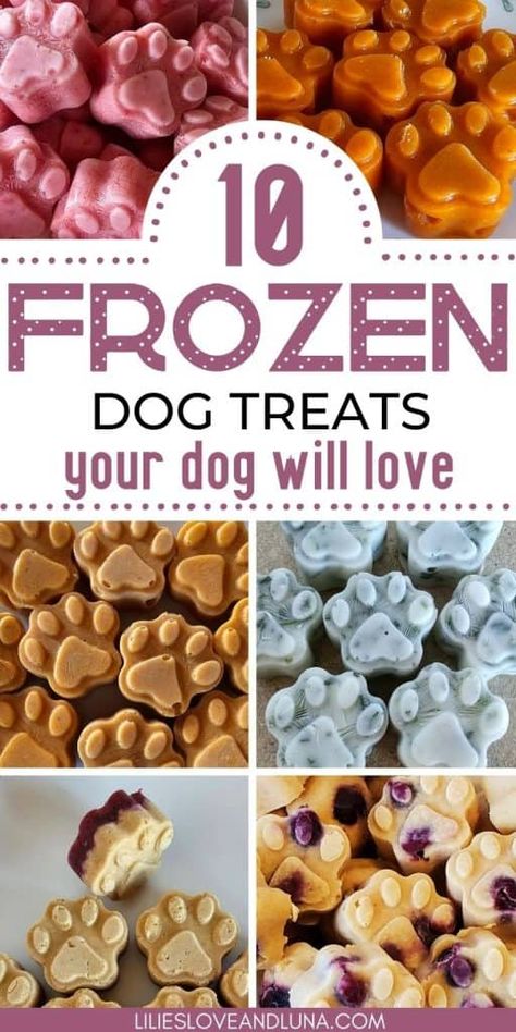 Frozen Dog Treat Molds, Homemade Dog Treat Business, Dog Enrichment Treats, How To Make Dog Treats, Homemade Dog Meals, Homemade Dog Treats Easy, Homemade Frozen Dog Treats, Dog Enrichment Ideas, Home Made Dog Treats