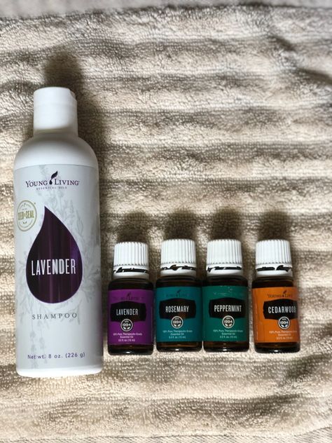 Young Living Hair, Essential Oils For Hair Growth, Essential Oil Shampoo, Oils For Hair Growth, Young Living Lavender, Young Living Oils Recipes, Living Oils Recipes, Essential Oil Hair Growth, Oils For Hair