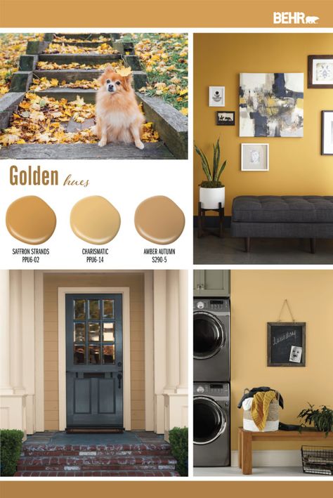 Color of the Year: In the Moment | Colorfully BEHR Behr Gold Hearted, Honeycomb Paint Color, Butterscotch Walls Living Room, Behr Mustard Yellow Paint Colors, Golden Rod Paint Color, Gold Brown Paint Color, Best Gold Paint For Walls, Gold Wall Paint Living Room, Yellow Gold Living Room