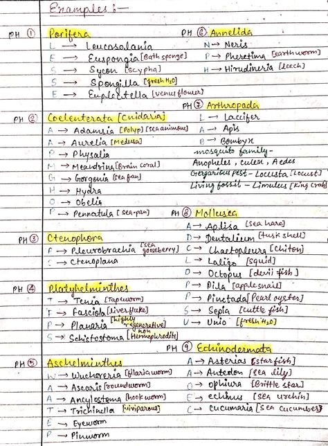 Animal Kingdom Biology, Important Notes For Neet, Animal Kingdom Tricks Neet, Short Notes Of Biology, Animal Kingdom Mind Map, Ncert Notes For Neet, Excretory Products And Their Elimination Neet Notes, Neet Short Tricks, Animal Kingdom Chart For Neet