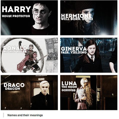 this is awesome. Character Names Male, Main Character Names, Names Male, Expecto Patronum, Yer A Wizard Harry, Images Harry Potter, Potter Facts, Harry Potter Facts, Albus Dumbledore