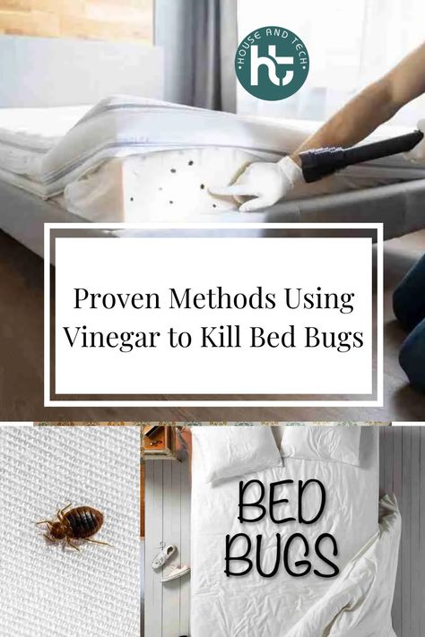 How to get rid of bed bugs How To Prevent Bed Bugs, Bed Bugs How To Get Rid Of Diy, Homemade Bed Bug Spray, Bedbugs Get Rid Of, How To Kill Bed Bugs, Getting Rid Of Bed Bugs Fast, Diy Bed Bug Spray, How To Get Rid Of Bed Bugs Fast Diy, Get Rid Of Bed Bugs Fast Diy