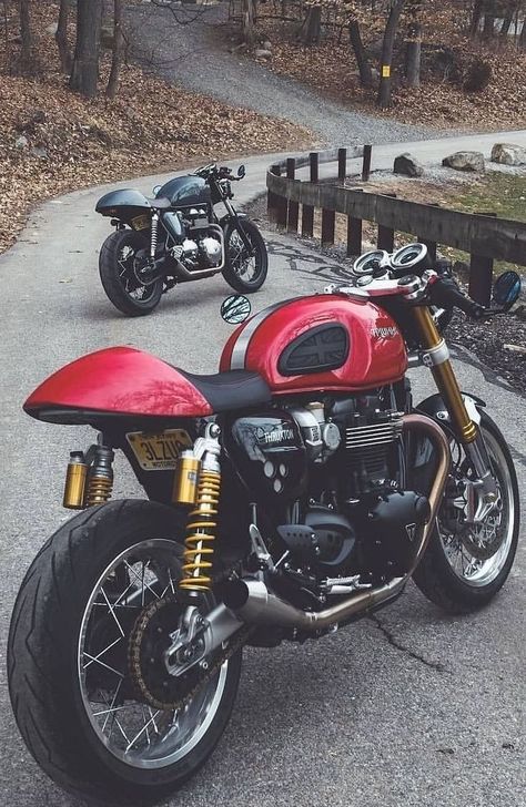 Triumph Thruxton 900, Thruxton 900, Bobber Scrambler, Triumph Moto, Custom Triumph, Honda 750, Triumph Cafe Racer, Best Motorbike, Triumph Motorcycle