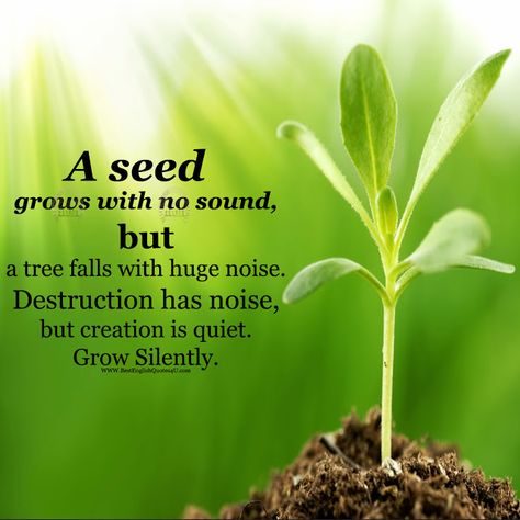 A seed grows with no sound, but a tree falls with huge... | Best English Quotes Tree Planting Quotes, Seed Quotes, Growing Quotes, Good Morning Massage, Tree Quotes, Life Choices Quotes, Plants Quotes, Happy Morning Quotes, Choices Quotes