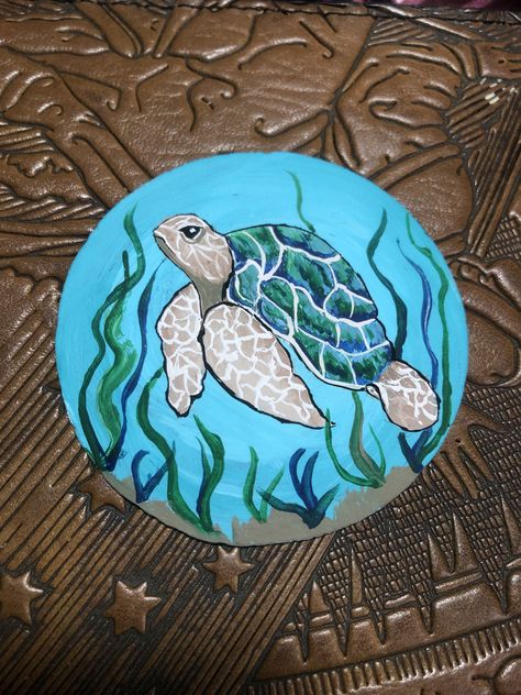 Painted Turtle Rocks Diy, Sea Turtle Painted On Rock, Painting Turtles On Rocks, Sea Turtle Painted Rocks, Sanddollar Painting Ideas, Painting Sand Dollars, Turtle Rock Painting Ideas, Sea Shells Painting, Painting Sea Turtles